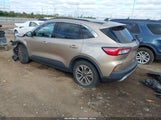 Ford Escape Sel 1FMCU0H60MUA56556 снимка