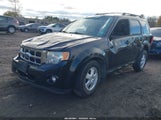 Ford Escape Xlt 1FMCU9DG2BKC35371 photo