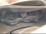 Hyundai Tucson Se KM8J2CA42KU045594 снимка