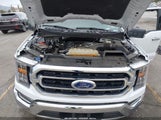 Ford F-150 Xlt 1FTEW1CP8PKE11048 photo