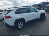 Toyota Rav4 Xle 2T3W1RFV8MC117357 снимка