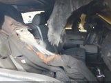 Ford F-150 Xlt 1FTFW1EF0BKD64521 снимка