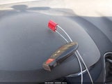 Dodge Grand Caravan Se Plus 2C4RDGBG4HR562564 снимка