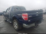 Miniaturka zdjęcia 3