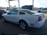 Ford Mustang V6 Deluxe/V6 Premium 1ZVHT80N375283895 photo