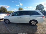 Honda Odyssey Ex-L 5FNRL5H64EB136547 снимка