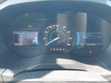 Ford Edge Sel 2FMPK4J91RBA99853 fotografie