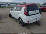 Miniaturka zdjęcia 3