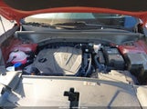 Miniaturka zdjęcia 10