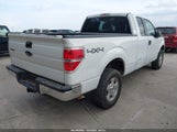 Ford F-150 Stx/Xl/Xlt 1FTEX1E89AKE15166 photo