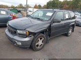 Chevrolet Trailblazer Ls 1GNDT13S872220973 снимка