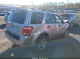 Ford Escape Xlt 1FMCU9D78CKC36395 fotografie