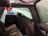 Miniaturka zdjęcia 8