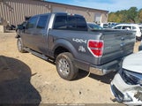 Ford F-150 Xlt 1FTFW1EFXDFD22286 снимка