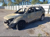 Miniaturka zdjęcia 2