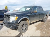 Ford F-150 Fx4/Harley-Davidson/King Ranch/Lariat/Platinum/Xl/Xlt 1FTFW1EV9AFD63527 fotografie