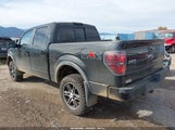 Ford F-150 Fx4/Harley-Davidson/King Ranch/Lariat/Platinum/Xl/Xlt 1FTFW1EV9AFD63527 photo