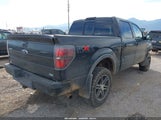 Ford F-150 Fx4/Harley-Davidson/King Ranch/Lariat/Platinum/Xl/Xlt 1FTFW1EV9AFD63527 photo