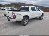 Toyota Tacoma Base V6 3TMLU42N69M033127 снимка