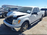 Ford F-150 Xlt 1FTFX1ET3CKD61908 fotografie