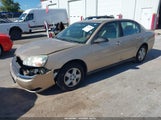 Chevrolet Malibu Ls 1G1ZT52814F109013 снимка