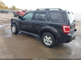 Ford Escape Xlt 1FMCU9DG7CKB67361 fotografie