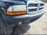 Dodge Dakota Sport 1D7HG32N94S549351 снимка