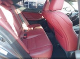 Miniaturka zdjęcia 8