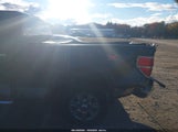 Ford F-150 Fx4/Harley-Davidson/King Ranch/Lariat/Platinum/Xl/Xlt 1FTFW1EV9AFA46430 fotografie