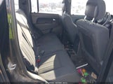 Miniaturka zdjęcia 8