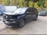 Honda Pilot Trailsport 5FNYG1H65SB005115 снимка