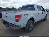 Ford F-150 Xl 1FTFW1EF4EKF73927 снимка