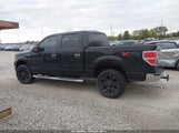 Ford F-150 Fx4/Harley-Davidson/King Ranch/Lariat/Platinum/Xl/Xlt 1FTFW1EV0AFD27712 photo