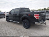 Ford F-150 Fx4/Harley-Davidson/King Ranch/Lariat/Platinum/Xl/Xlt 1FTFW1EV0AFD27712 photo
