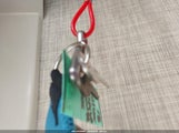 Miniaturka zdjęcia 11