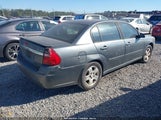Chevrolet Malibu Lt 1G1ZU54845F256793 снимка
