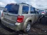 Ford Escape Xlt 1FMCU0D73AKC31386 снимка