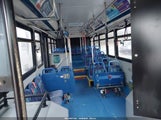 Miniaturka zdjęcia 5