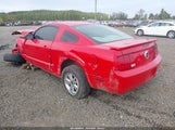 Ford Mustang V6 Deluxe/V6 Premium 1ZVHT80N785196566 photo