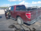 Ford F-150 Fx2 Sport/Harley-Davidson/King Ranch/Lariat/Platinum/Xl/Xlt 1FTFW1CV6AFC94864 photo