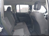 Miniaturka zdjęcia 8