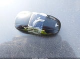 Miniaturka zdjęcia 11