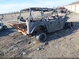 Jeep Jeep Cj7 1JCCM87EXDT073011 снимка