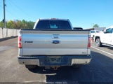 Ford F-150 Fx4/Harley-Davidson/King Ranch/Lariat/Platinum/Xl/Xlt 1FTFW1EV3AFA31597 fotografie