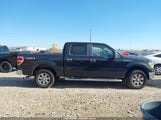 Ford F-150 Fx4/Harley-Davidson/King Ranch/Lariat/Platinum/Xl/Xlt 1FTFW1EV2AFD09888 fotografie