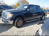 Ford F-150 Fx4/Harley-Davidson/King Ranch/Lariat/Platinum/Xl/Xlt 1FTFW1EV2AFD09888 снимка