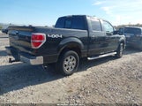 Ford F-150 Fx4/Harley-Davidson/King Ranch/Lariat/Platinum/Xl/Xlt 1FTFW1EV2AFD09888 photo