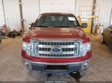 Ford F-150 Xlt 1FTFW1ET1DFC87028 снимка