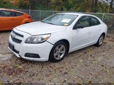 Chevrolet Malibu 1Ls 1G11B5SA0DF294898 снимка