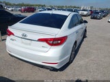 Hyundai Sonata Sport 5NPE34AF7GH367210 photo